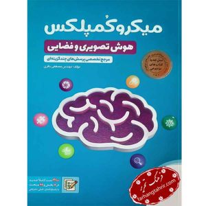 هوش تصویری و فضایی میکرو کمپلکس مهر و ماه